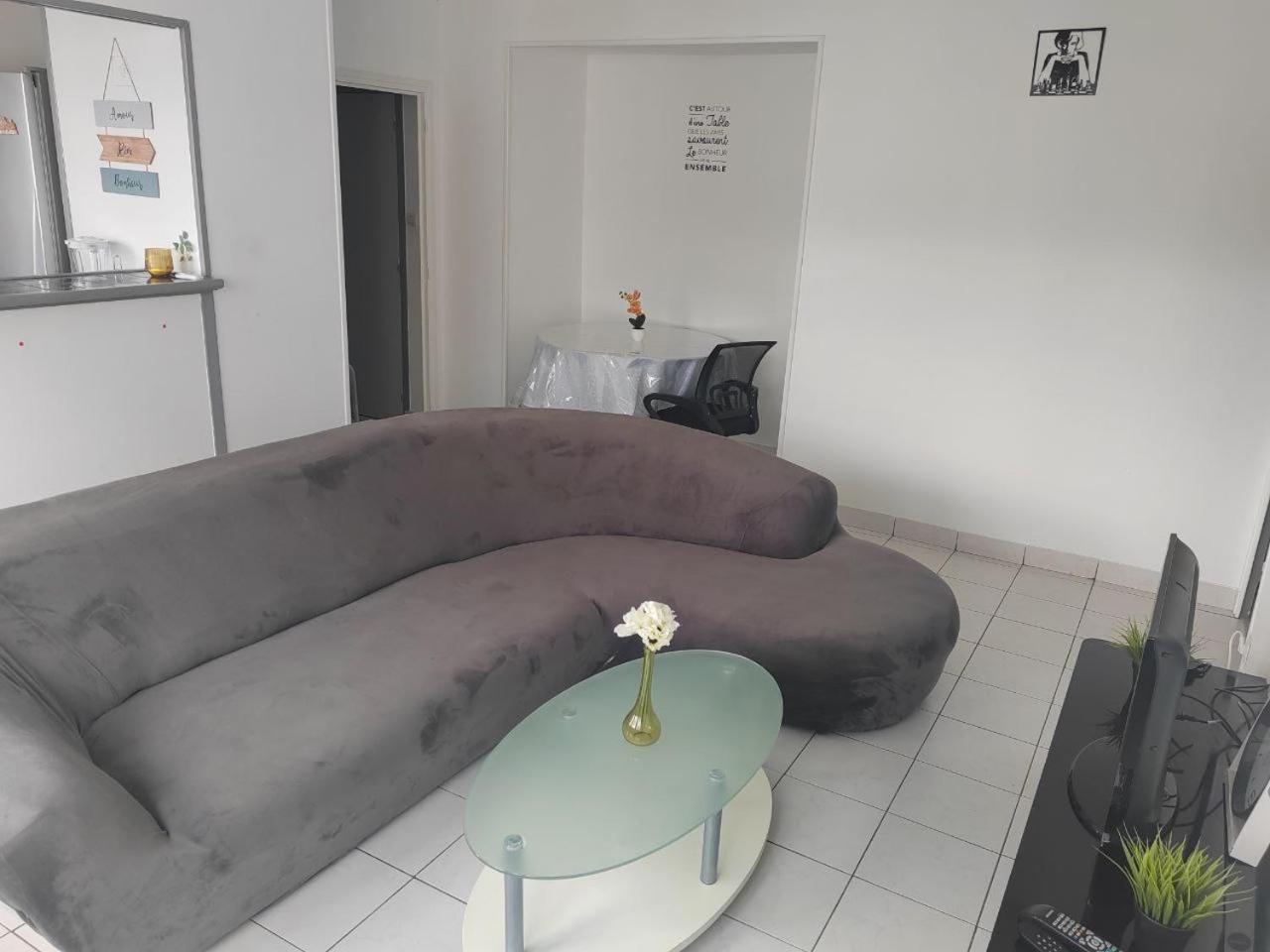 Une Chambre Dans Appartement Partage, Grenoble A 8 Min Du Centre-Ville Esterno foto